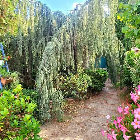 43 M2 2 Epis - A 400m - Parking Jardin Terrasse Wifi Tatil Evi Six-Fours-les-Plages